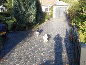 Driveways