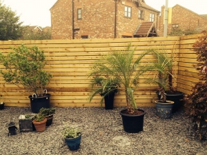 Fencing
