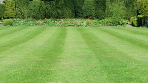 Ground Maintenance