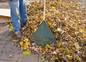 Ground Maintenance