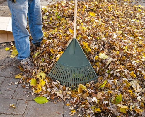 Ground Maintenance